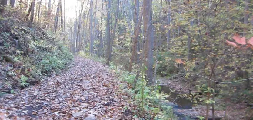 232 Andes Ridge, Ellijay, GA 30540 - #3