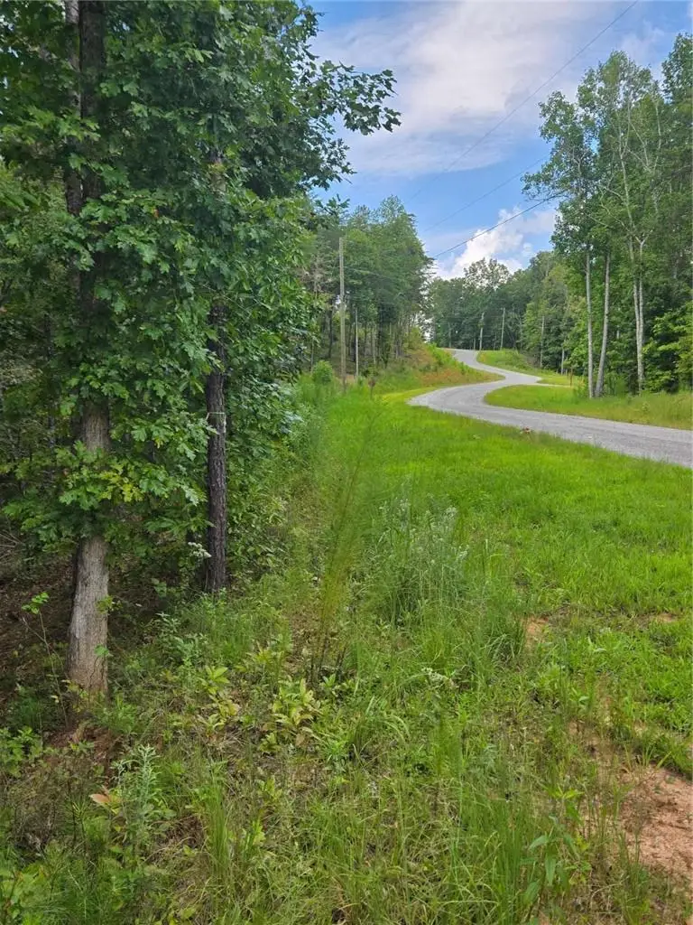 0 Crayfish Place, Talking Rock, GA 30175 - Image #1