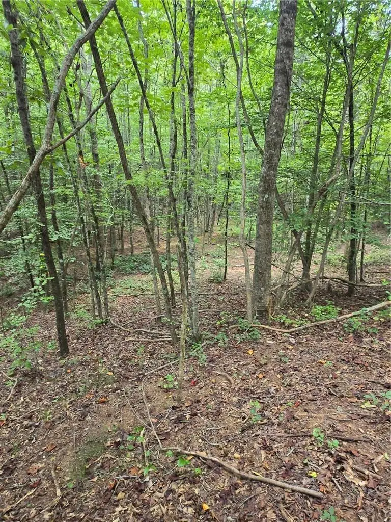 0 Crayfish Place, Talking Rock, GA 30175 - Image #2