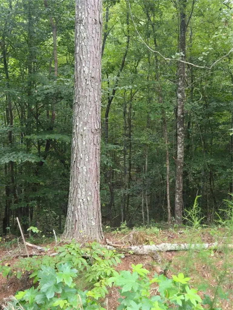 0 Crayfish Place, Talking Rock, GA 30175 - Image #3