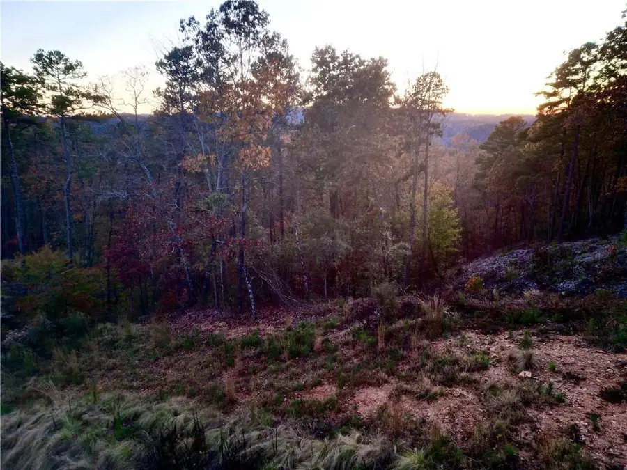 0 Canoe Way, Talking Rock, GA 30175 - Image #3