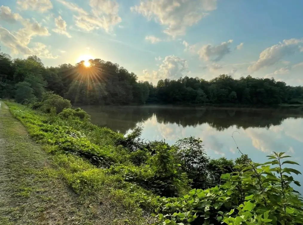 0 Us Hwy 78, Tallapoosa, GA 30176 - Image #1