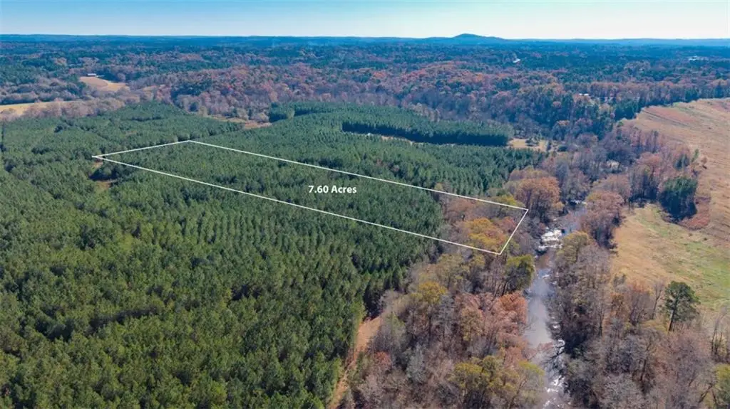 LOT 2 Steadman Lane, Tallapoosa, GA 30176 - Image #1