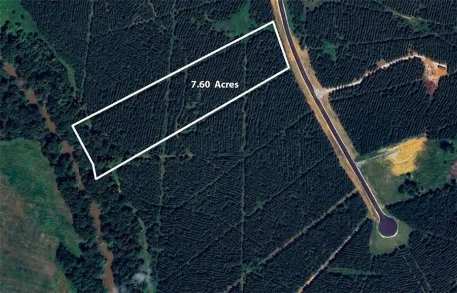 LOT 2 Steadman Lane, Tallapoosa, GA 30176 - Image #3