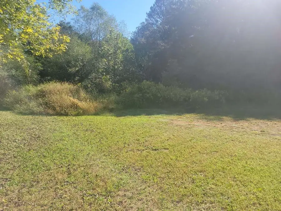 849 Booger Hollow Rd, Lindale, GA 30147 - Image #3