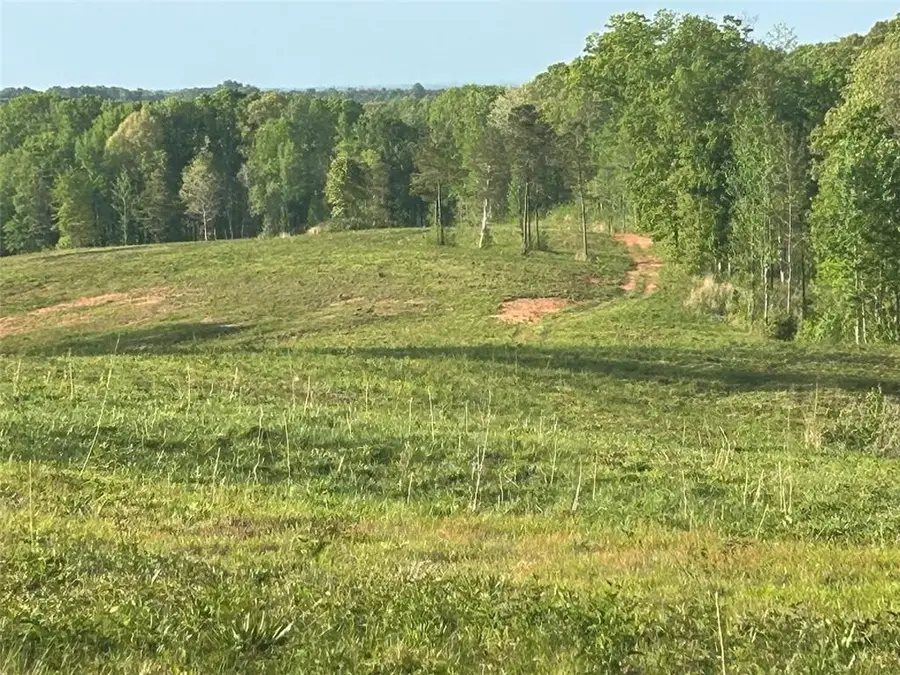0 Needmore Rd Unit (345.37 Acres), Roopville, GA 30170 - Image #2