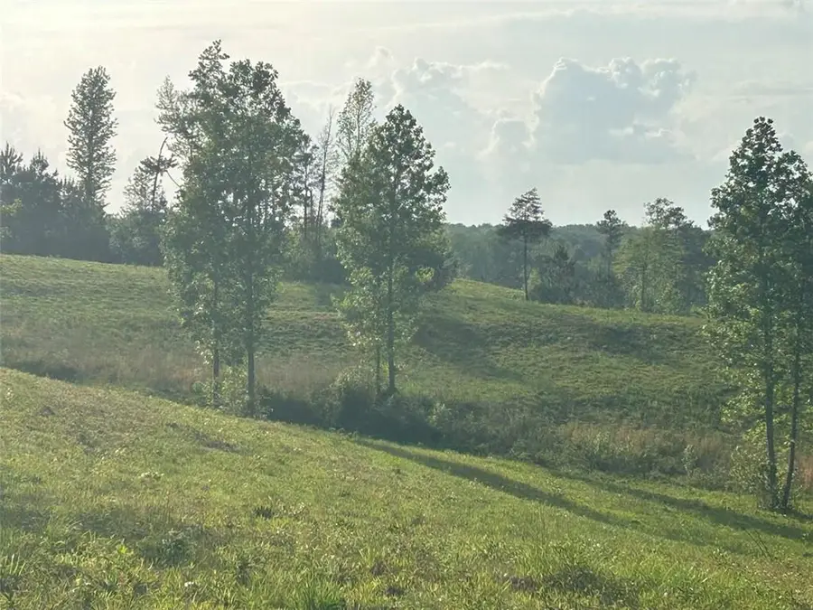 0 Needmore Rd Unit (345.37 Acres), Roopville, GA 30170 - Image #3