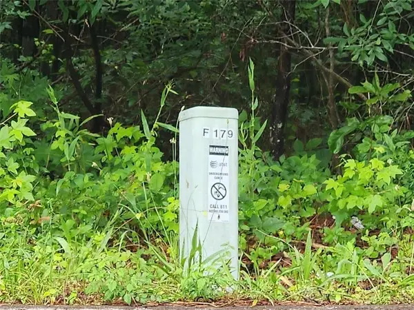 179 Ashley Trace Drive, Locust Grove, GA 30248