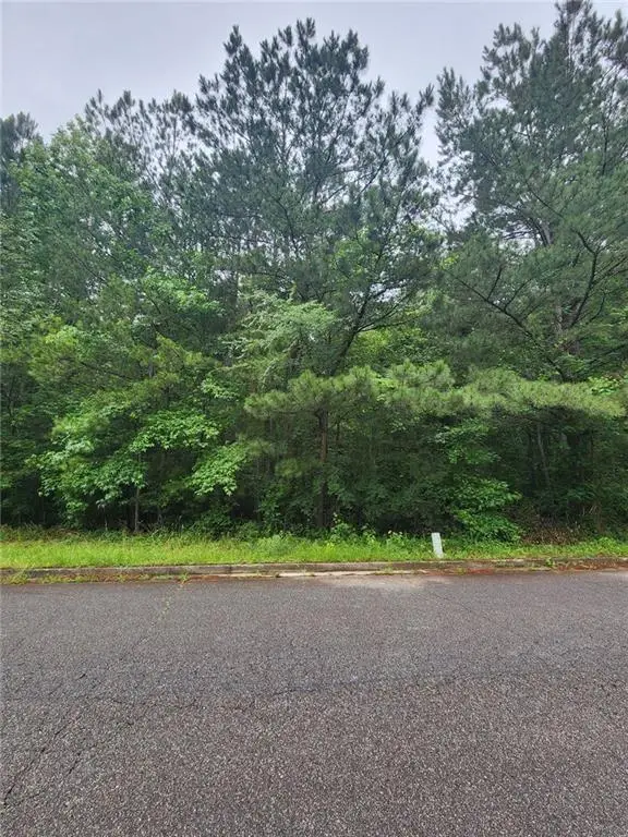 179 Ashley Trace Drive, Locust Grove, GA 30248 - Image #3