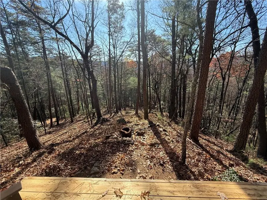 447 Creekview Drive, Ellijay, GA 30536 - Image #3