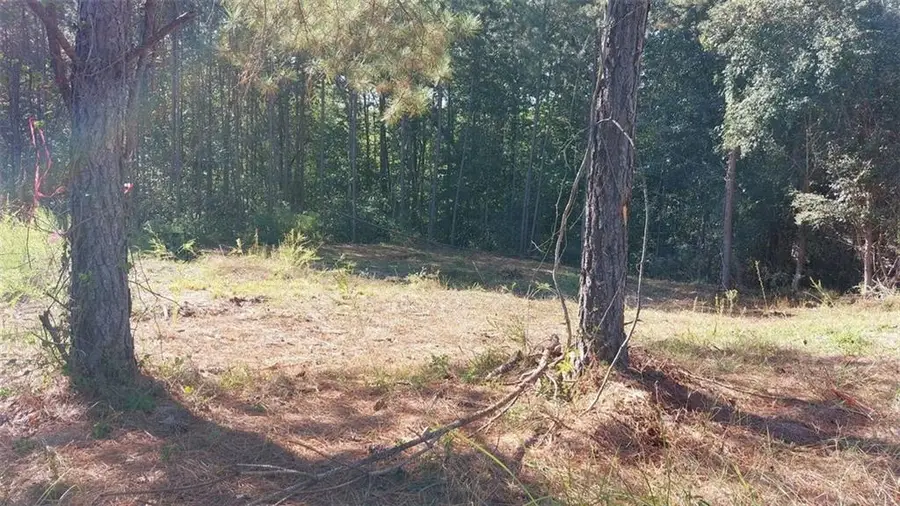 0 Granada Dr Lot 8, South Fulton, GA 30349 - Image #2
