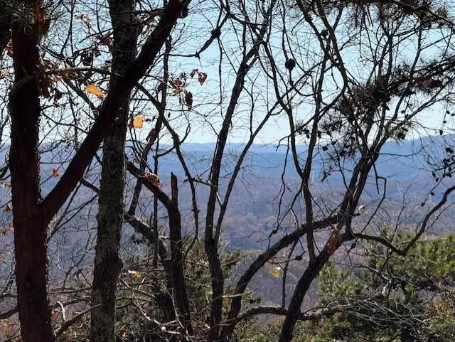 0 John Call Rd, Talking Rock, GA 30175 - #2