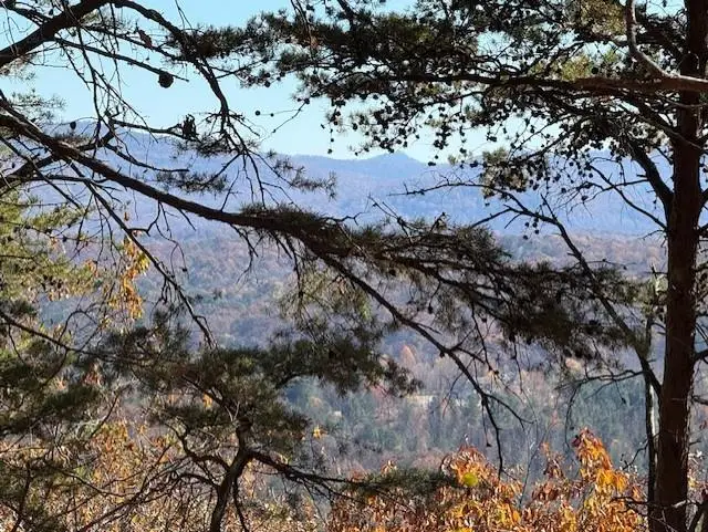 0 John Call Rd, Talking Rock, GA 30175 - #3