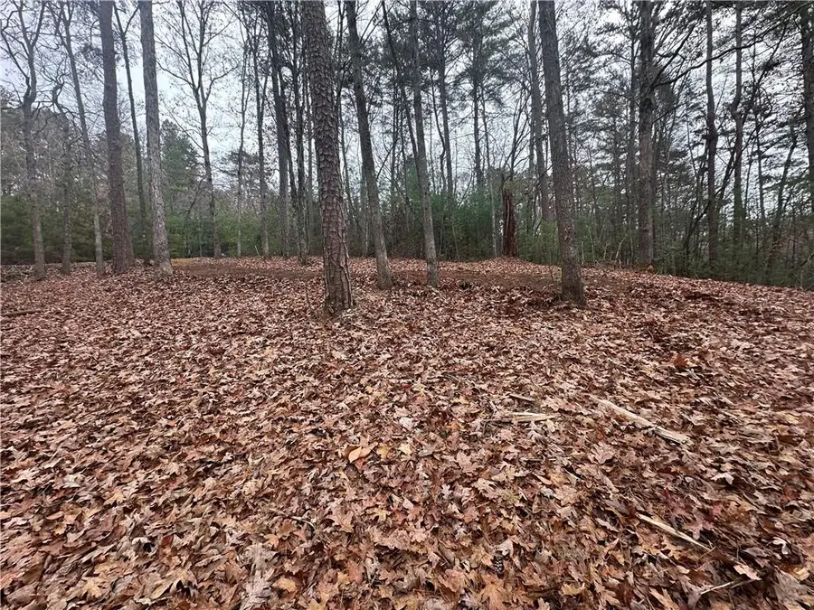 0 Roaring Forks Lane, Ellijay, GA 30540 - Image #3