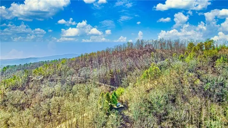 875 Trinton Drive, Ranger, GA 30734 - Image #2