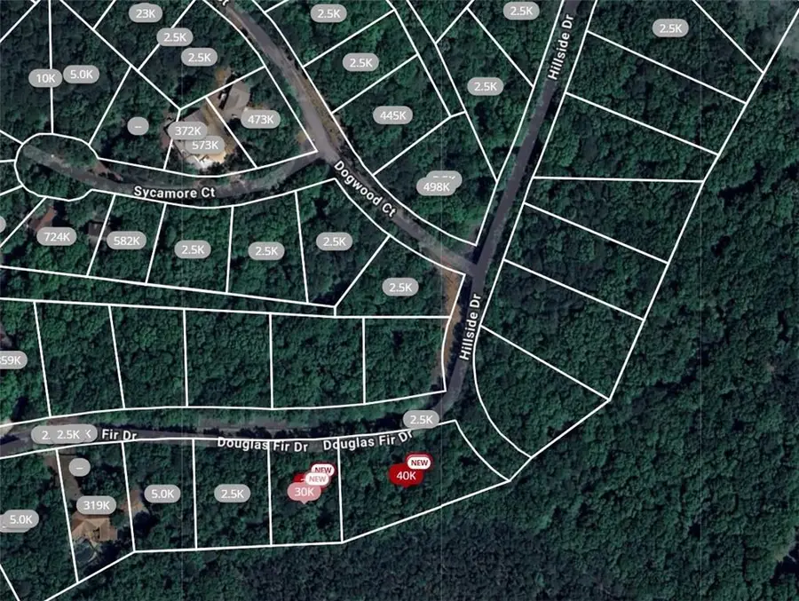 105 Douglas Fir Drive, Waleska, GA 30183 - Image #2