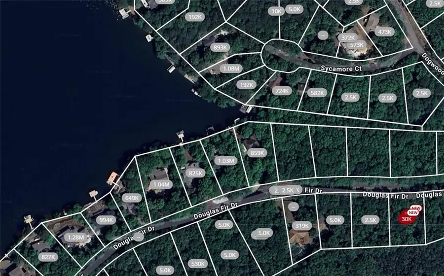 105 Douglas Fir Drive, Waleska, GA 30183 - Image #3