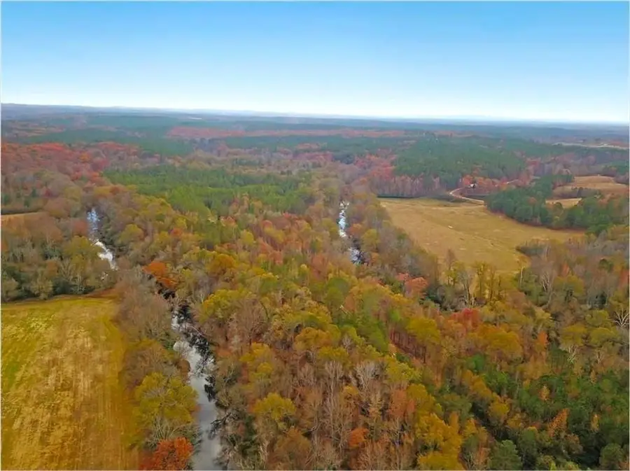 702 Liner Road, Tallapoosa, GA 30176 - Image #2