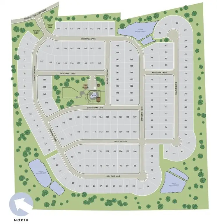 1438 High Falls Lane, Grayson, GA 30017 - Image #3