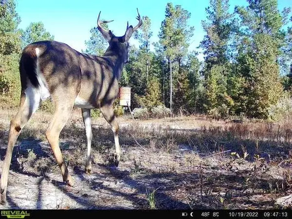 0 Indian Trail Road, Sandersville, GA 31082