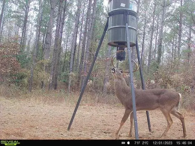 0 Indian Trail Road, Sandersville, GA 31082 - Image #3