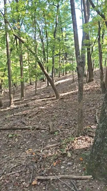 315 Windflower Drive, Big Canoe, GA 30534