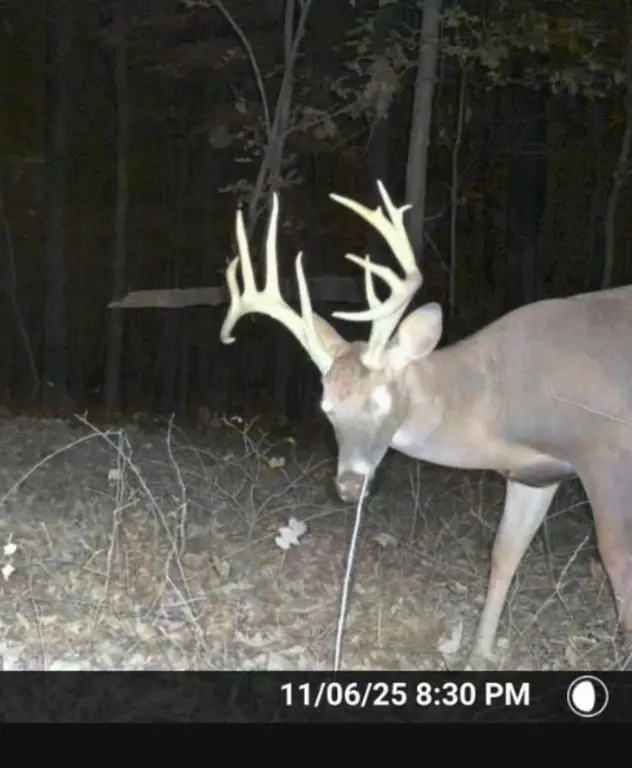 0 Ga Hwy 72, Comer, GA 30629 - Image #2