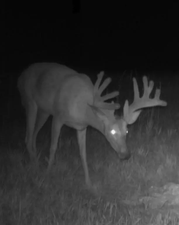 0 Ga Hwy 72, Comer, GA 30629 - Image #3