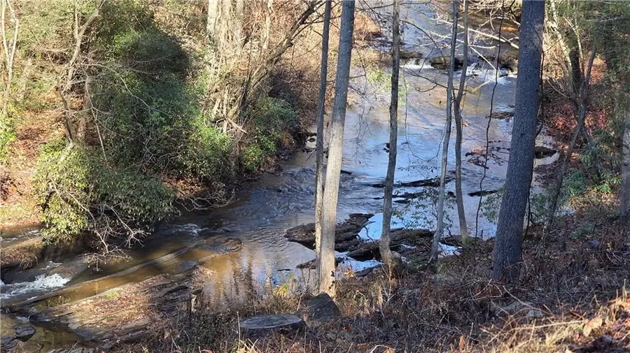 0 Dell Moore Road, Marble Hill, GA 30148 - Image #2