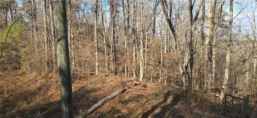 00001 Matt Highway, Ball Ground, GA 30107 - Image #2