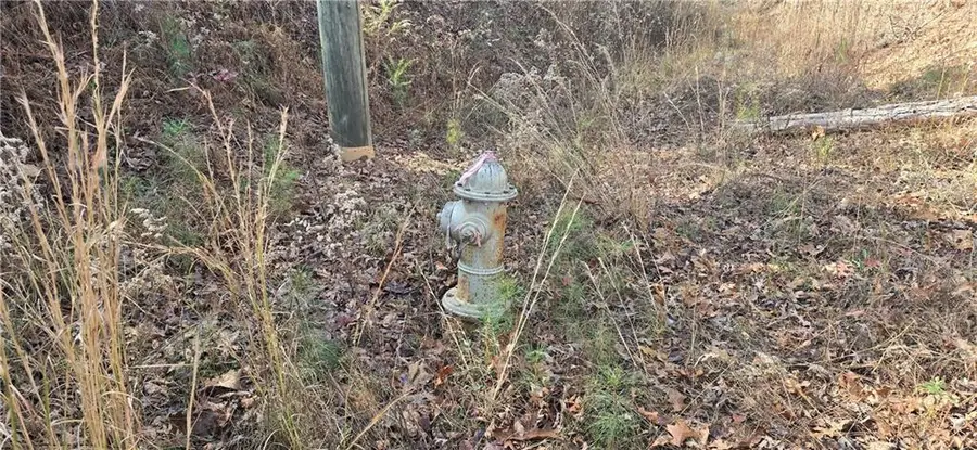 00001 Matt Highway, Ball Ground, GA 30107 - Image #3