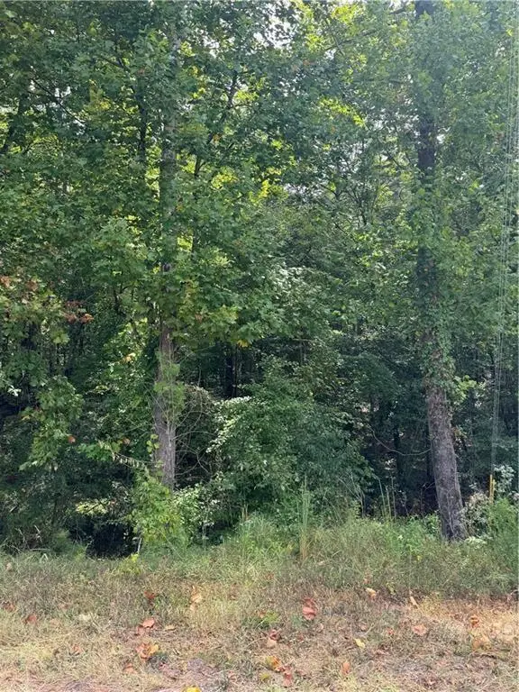 0 Cole Lake Road, Dallas, GA 30157 - Image #1