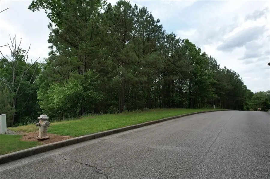 224 Pindos Place Sw, Powder Springs, GA 30127 - Image #3