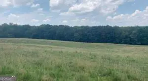 6295 Hawkins Drive, Cumming, GA 30028 - Image #3