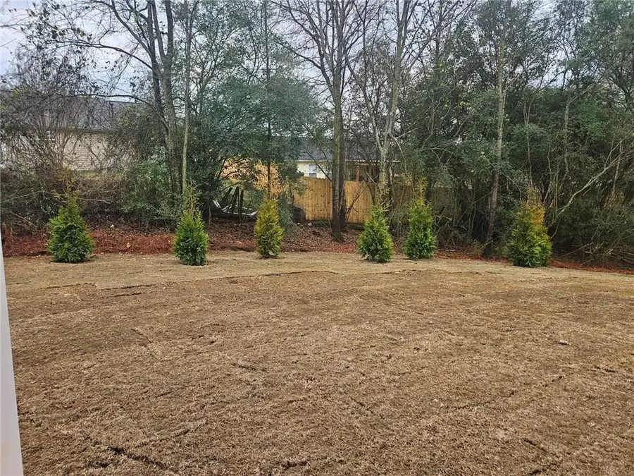 598 Calgary Downs Drive, Winder, GA 30680 - #2