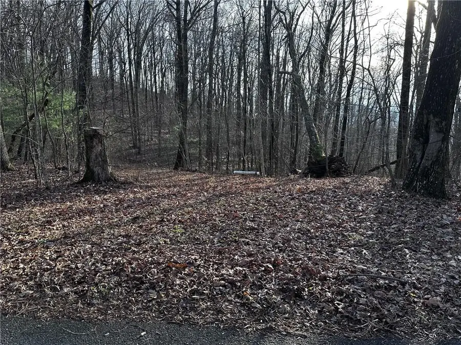 32 Andes Ridge, Jasper, GA 30143 - Image #2