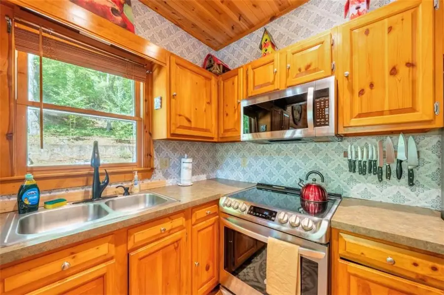 383 Canada Creek Road, Suches, GA 30572 - #3