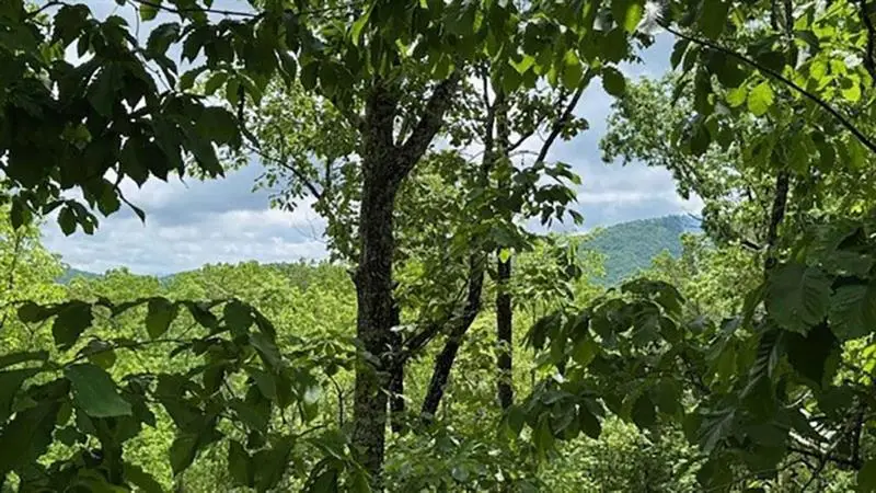 108 Crabapple Lane, Mineral Bluff, GA 30559 - Image #2