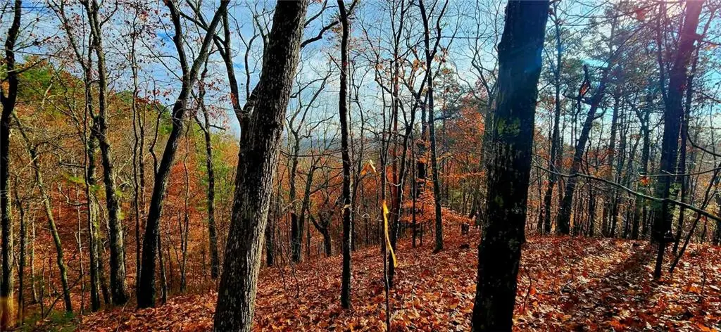 561 Parable Court, Ranger, GA 30734 - Image #1