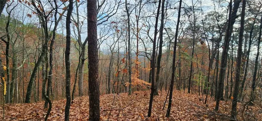 561 Parable Court, Ranger, GA 30734 - Image #2