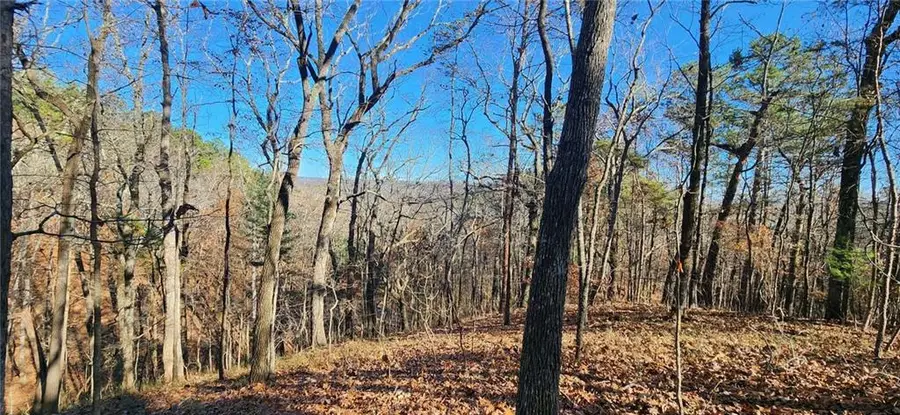 561 Parable Court, Ranger, GA 30734 - Image #3