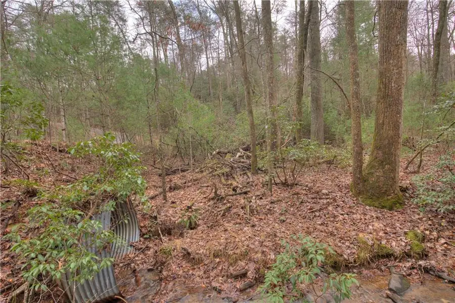 2152 Royal Fern Trail, Big Canoe, GA 30143 - Image #2