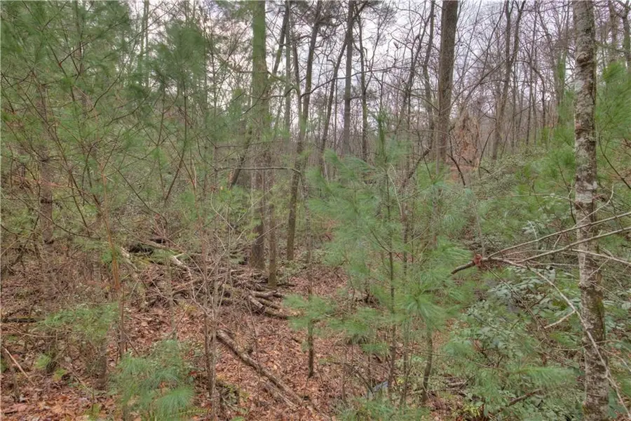 2152 Royal Fern Trail, Big Canoe, GA 30143 - Image #3