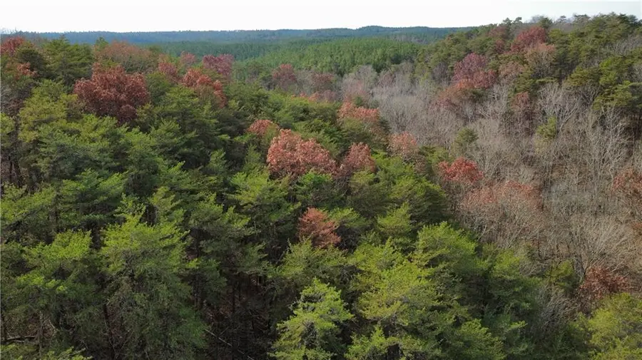 Tract 30 Deerfield Estates, Fairmount, GA 30139 - Image #2