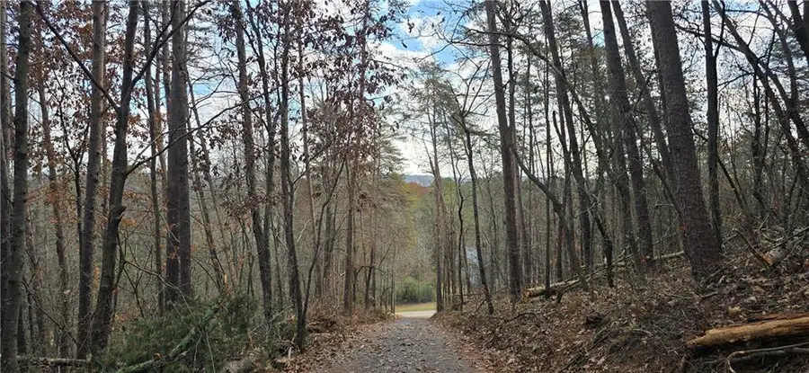 Tract 30 Deerfield Estates, Fairmount, GA 30139 - Image #3