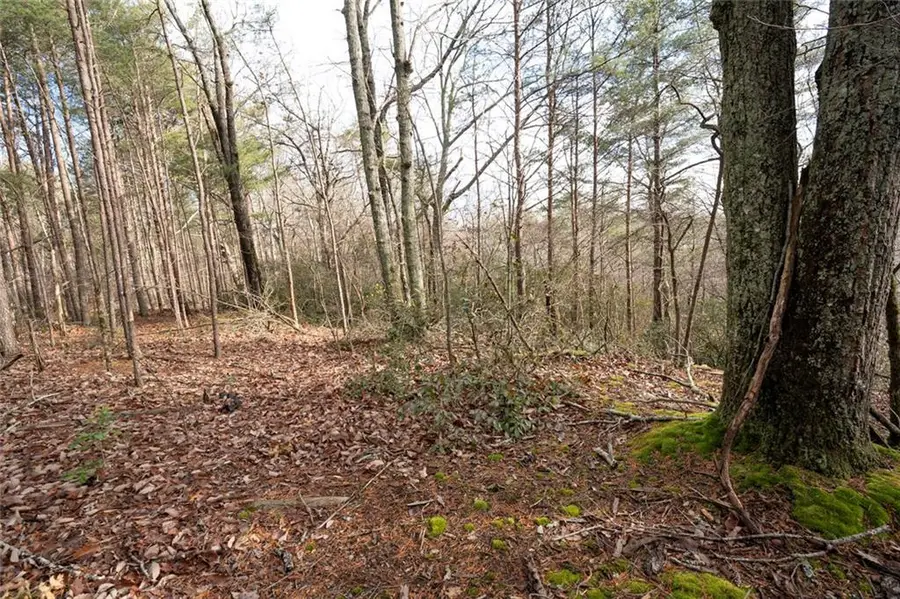 1 Amber Court, Jasper, GA 30143 - Image #2