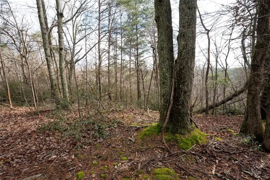 1 Amber Court, Jasper, GA 30143 - Image #3