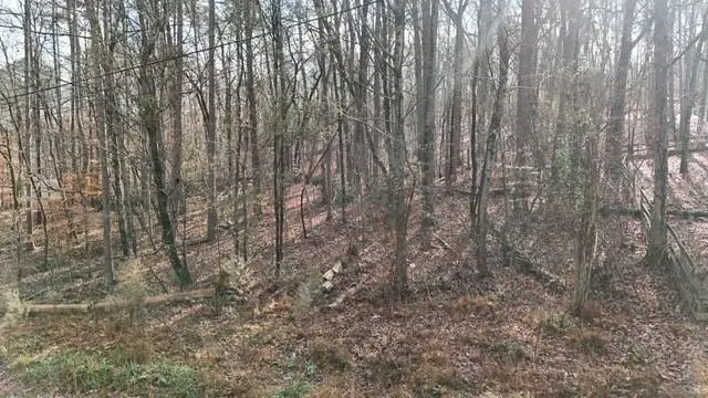 3925 Pine Tree Lane, Gainesville, GA 30501 - Image #2