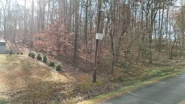 3925 Pine Tree Lane, Gainesville, GA 30501 - Image #3