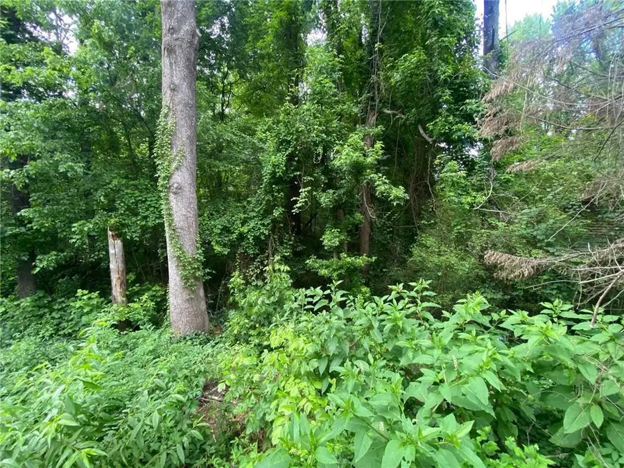 00 Nickajack Road Se, Mableton, GA 30126 - #3